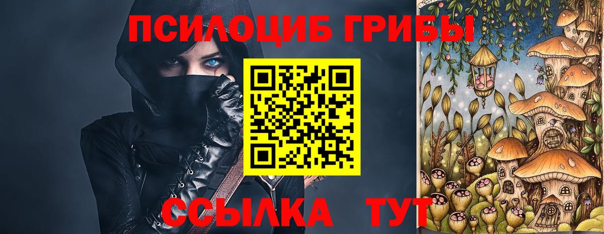 Галлюциногенные грибы Psilocybe  Вход с VPN  Ишимбай 