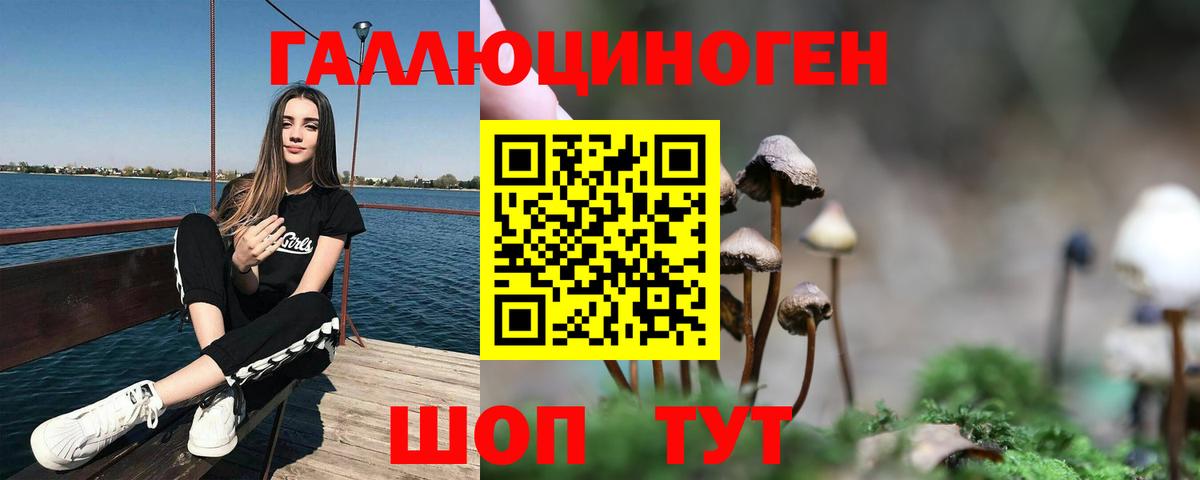Псилоцибиновые грибы прущие грибы Ишимбай